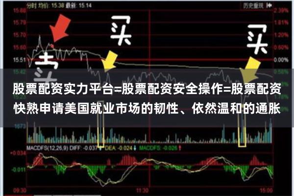   股票配资实力平台=股票配资安全操作=股票配资快熟申请美国就业市场的韧性、依然温和的通胀